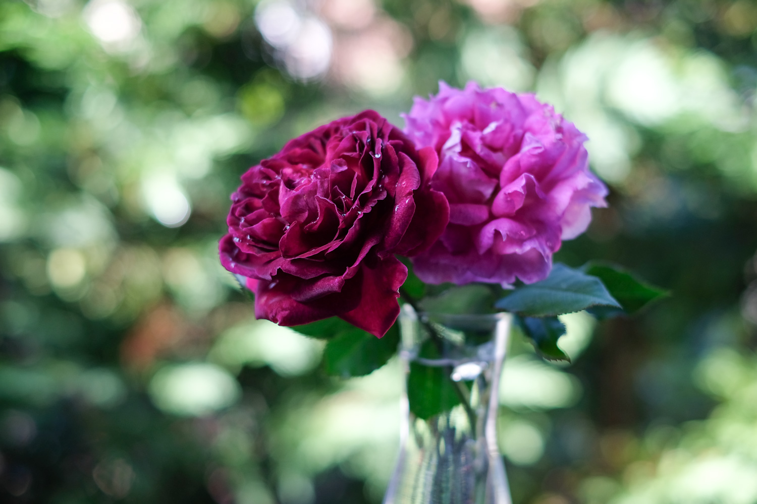 f:id:kota2009:20201018093559j:plain