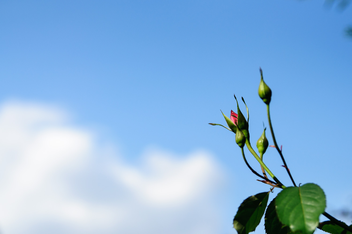 f:id:kota2009:20201024103002j:plain