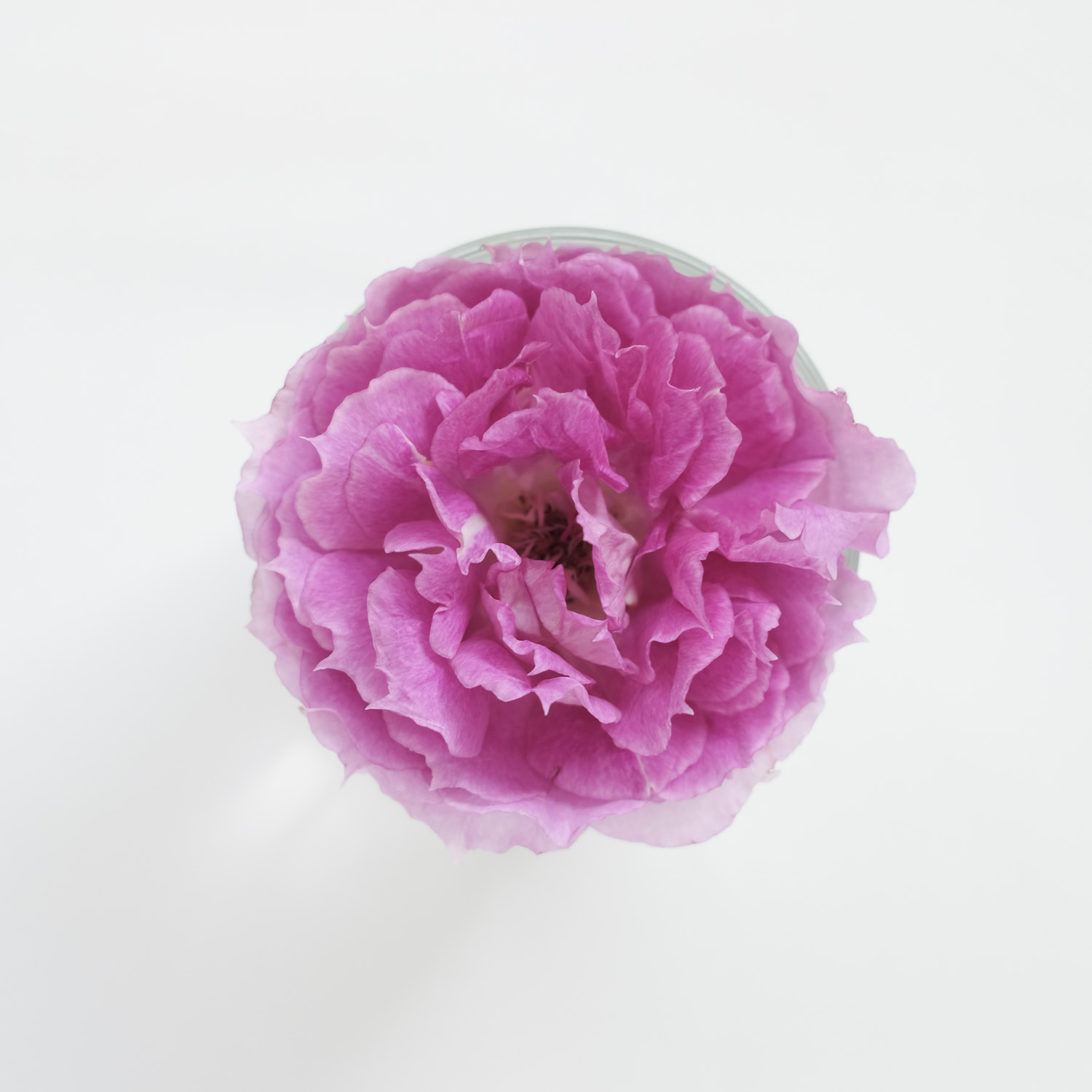 f:id:kota2009:20210509150813j:plain