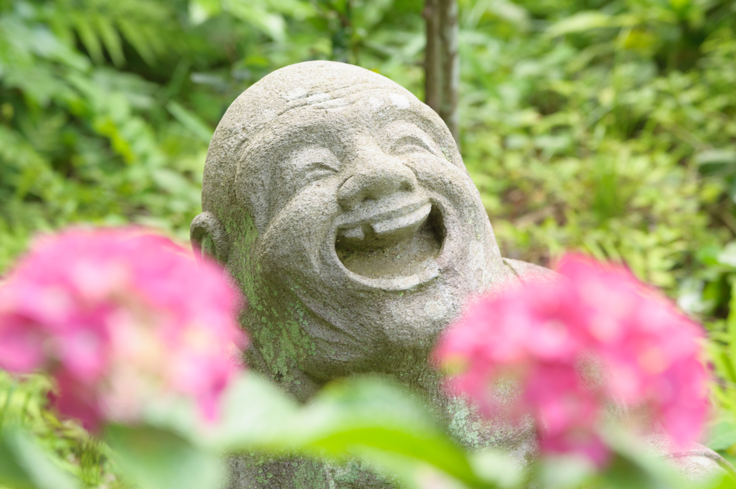 f:id:kota2009:20210606170848j:plain