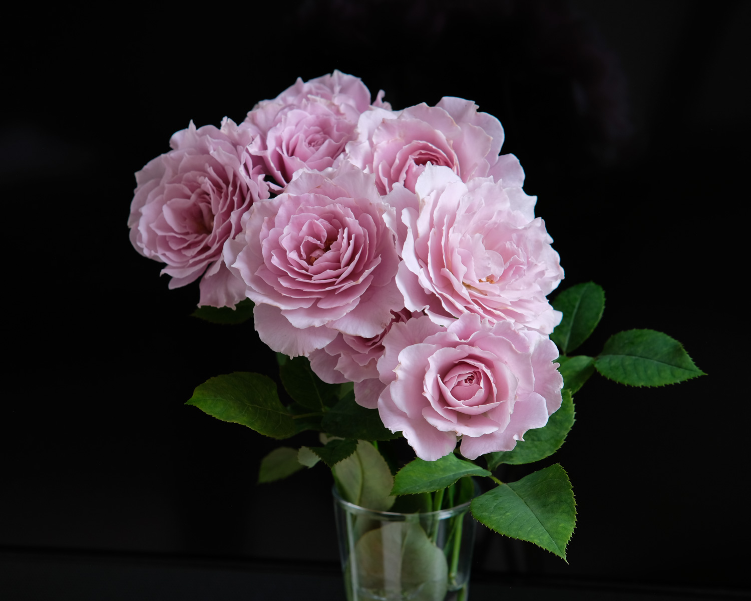 f:id:kota2009:20210708123715j:plain