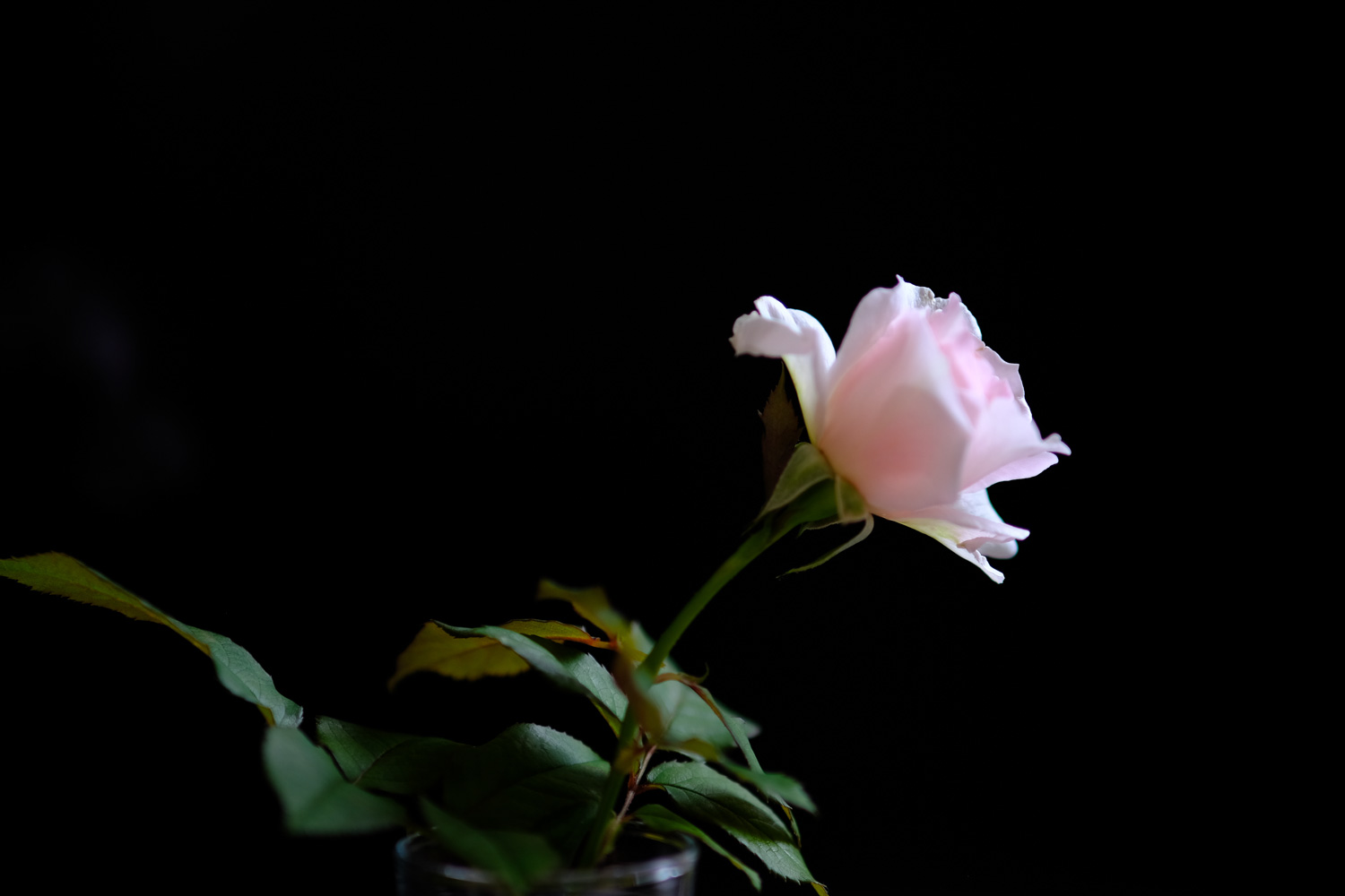 f:id:kota2009:20210713102016j:plain