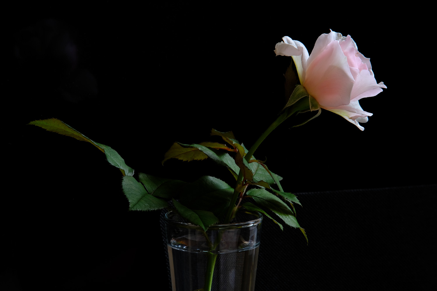 f:id:kota2009:20210713102850j:plain
