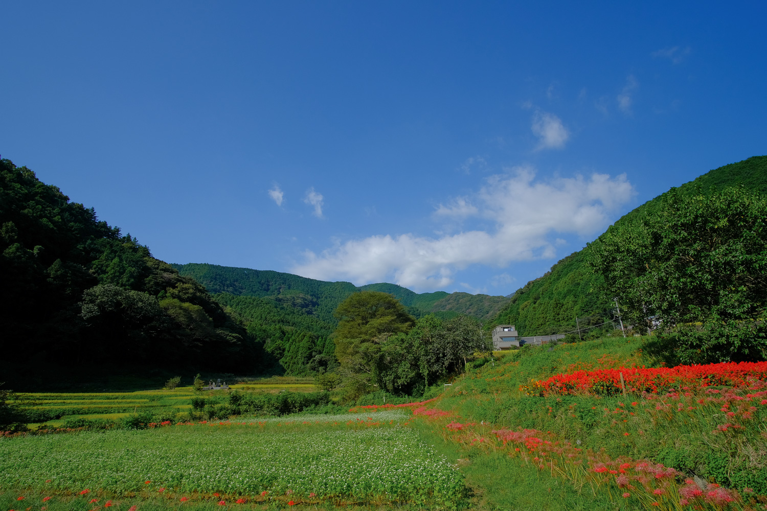 f:id:kota2009:20210924085511j:plain