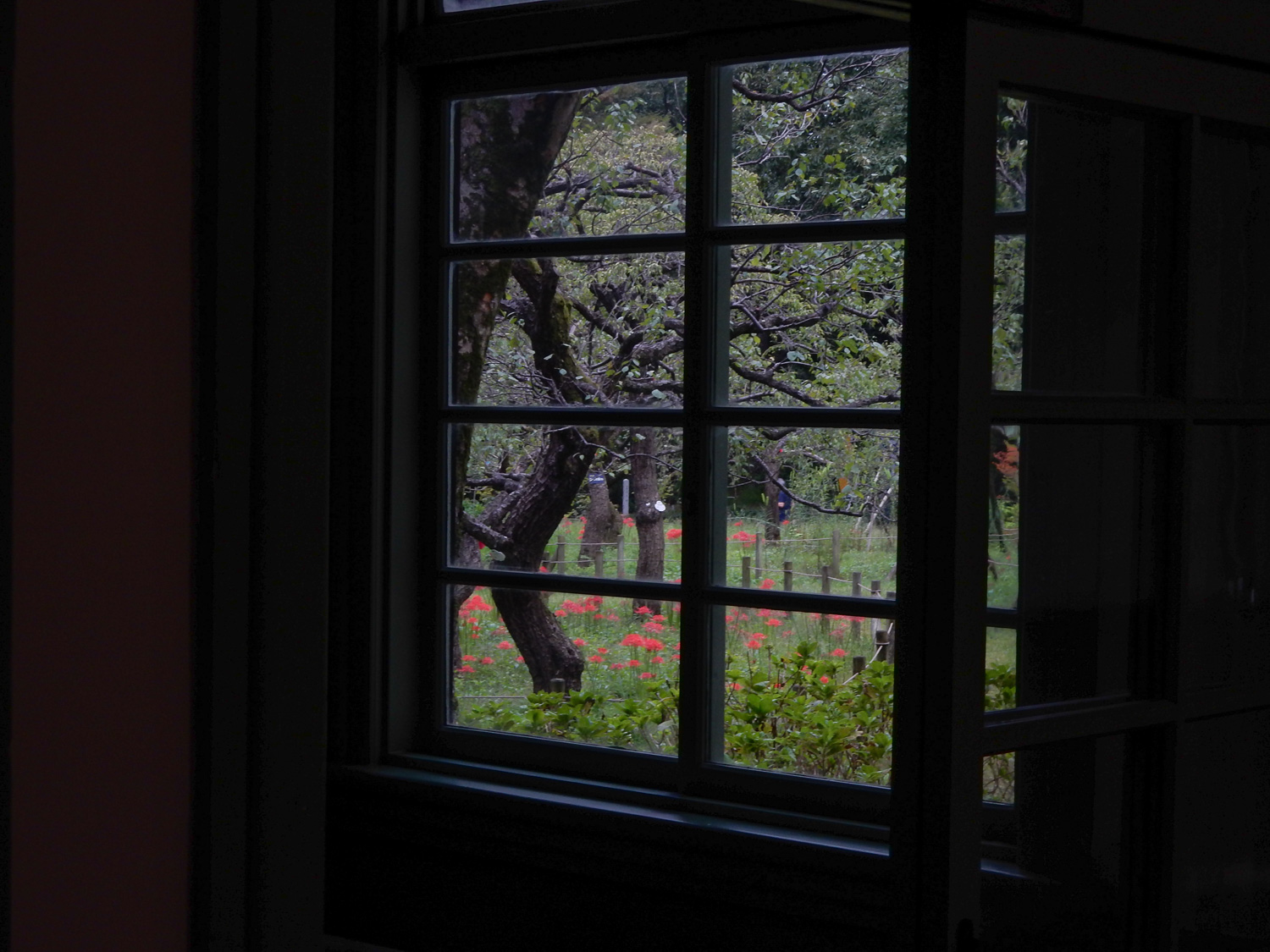 f:id:kota2009:20210925151349j:plain