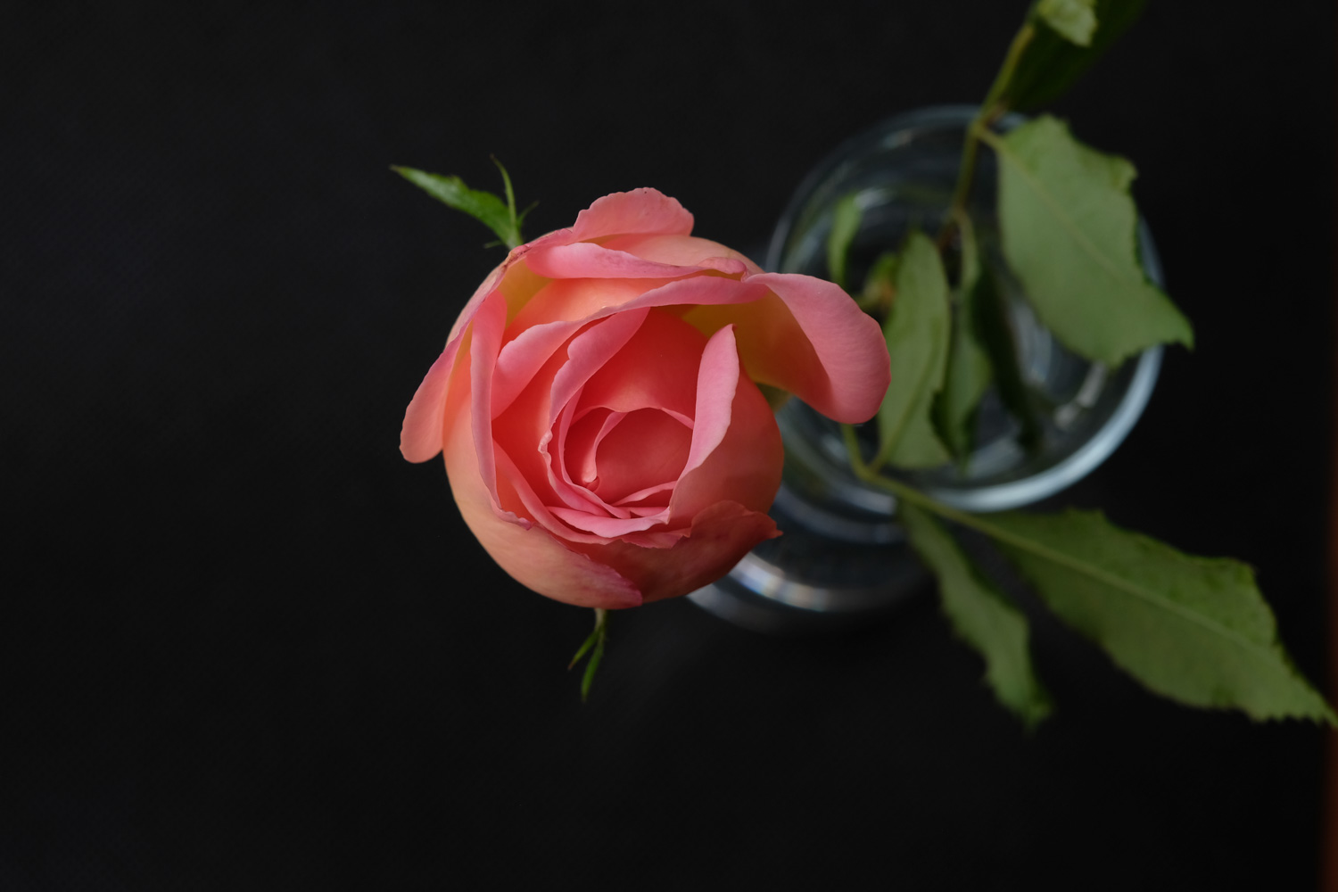 f:id:kota2009:20211007065038j:plain