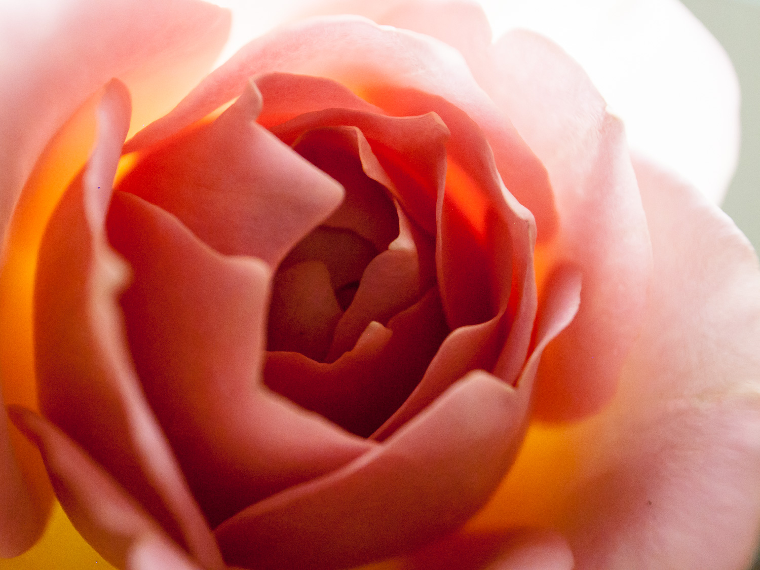 f:id:kota2009:20211018194247j:plain