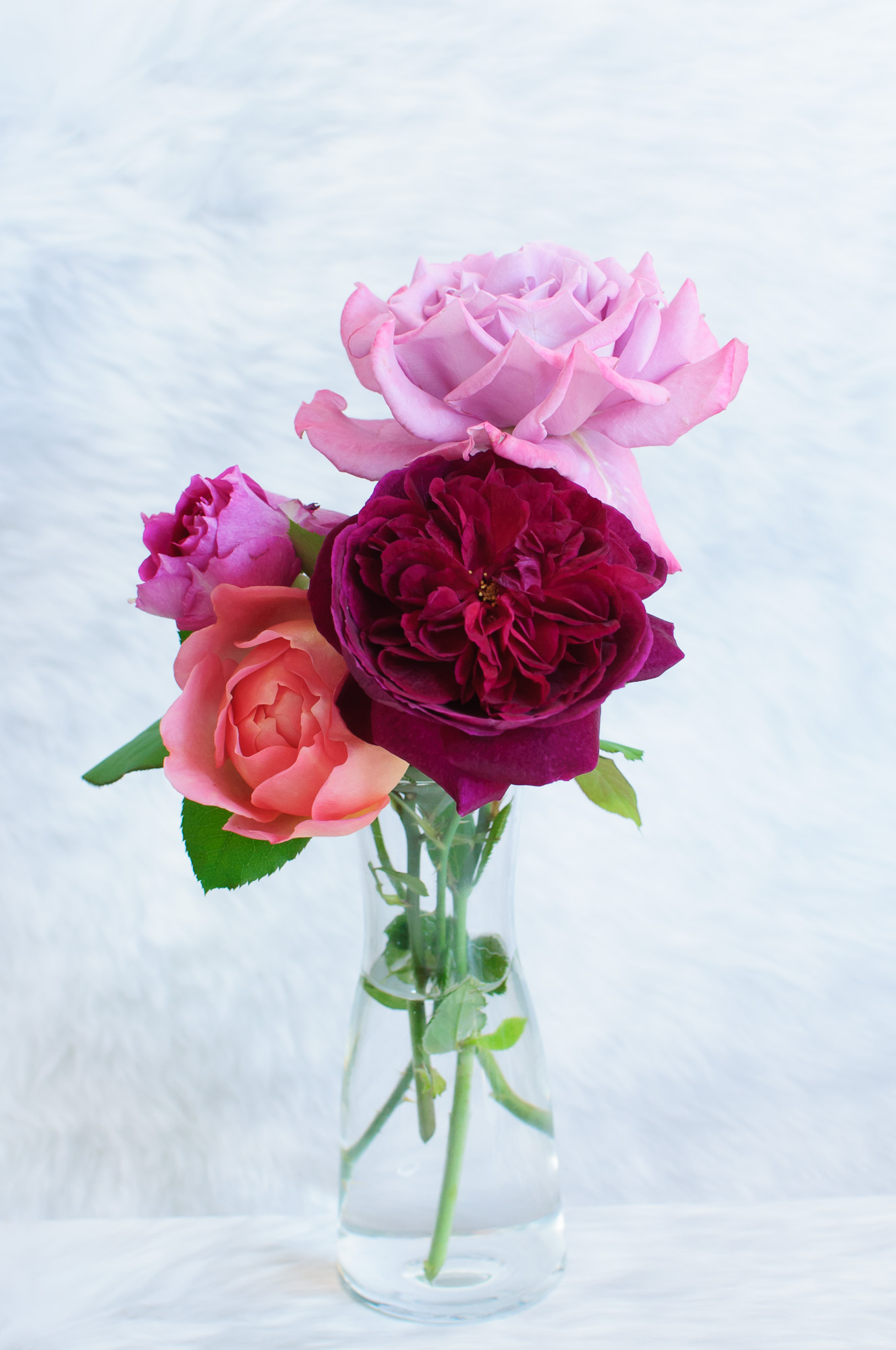 f:id:kota2009:20211028081249j:plain