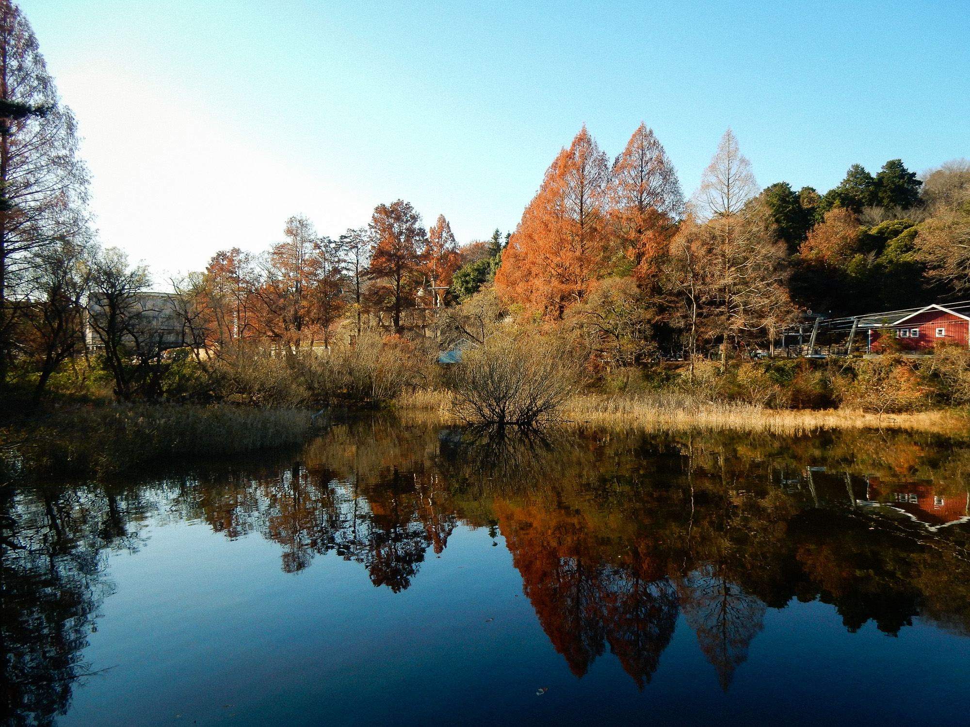 f:id:kota2009:20211211134956j:plain