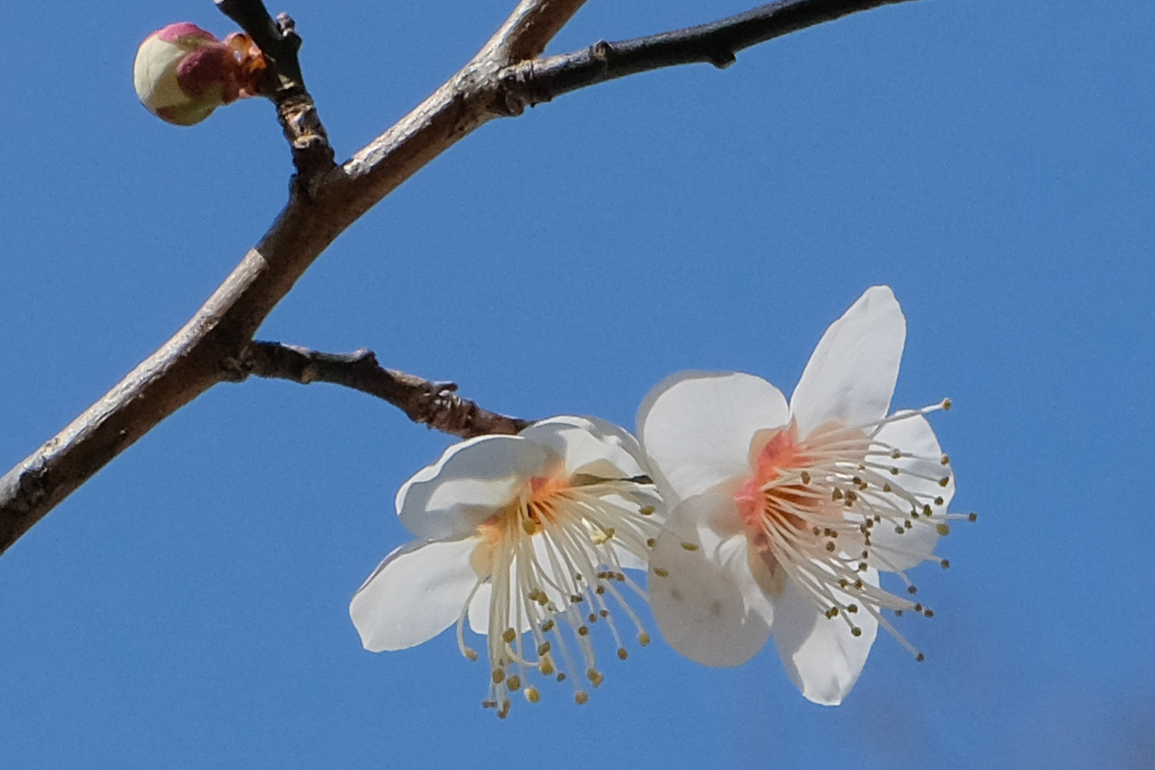 f:id:kota2009:20220129120031j:plain