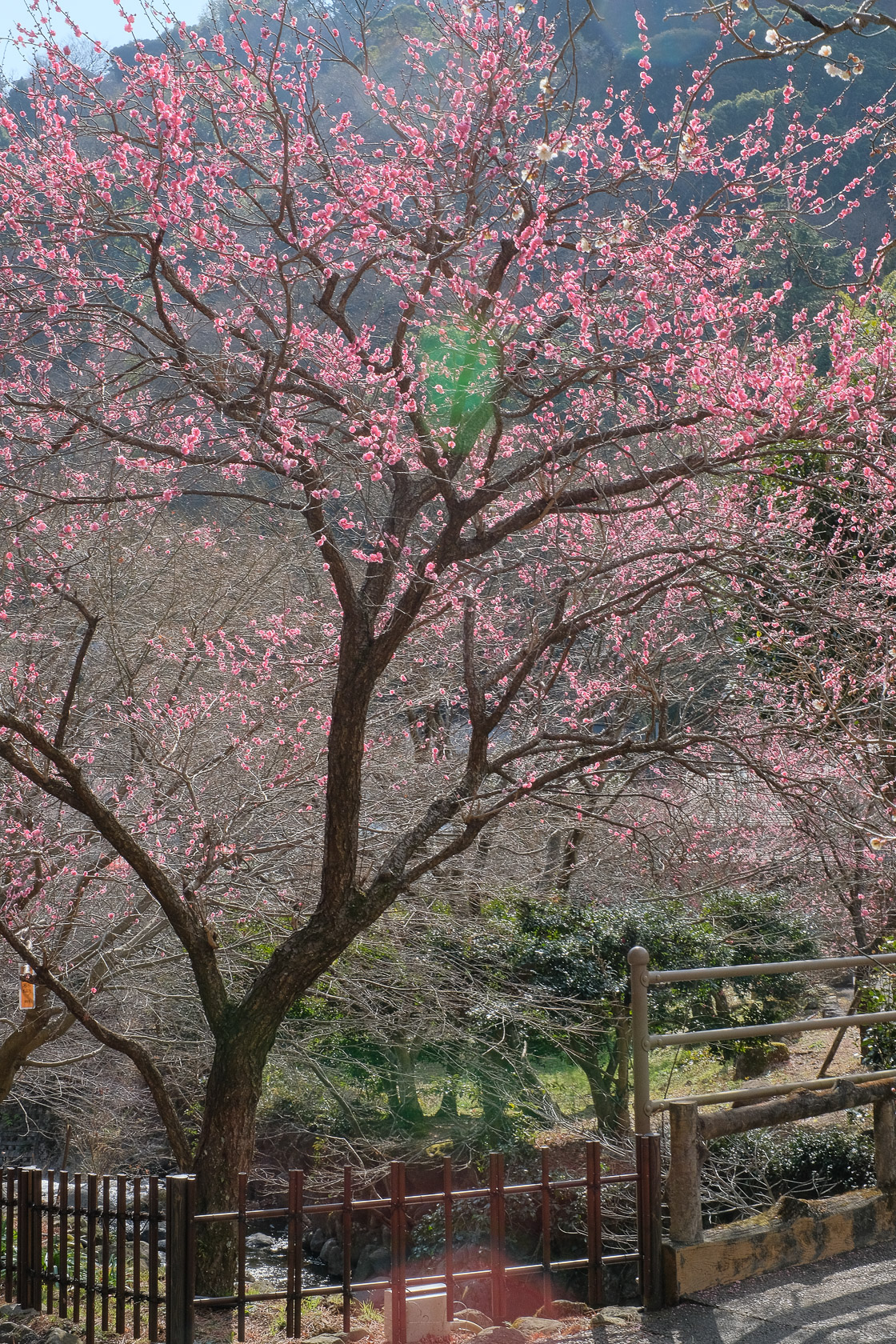 f:id:kota2009:20220129120610j:plain