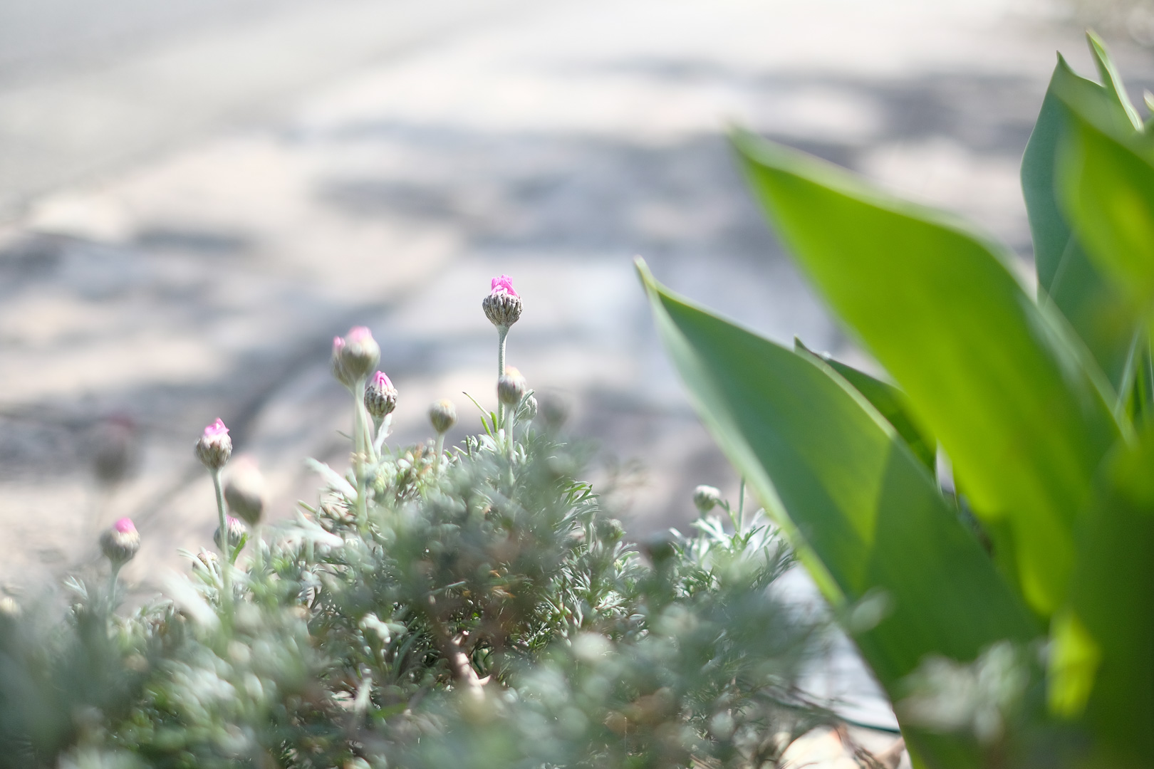 f:id:kota2009:20220319100405j:plain