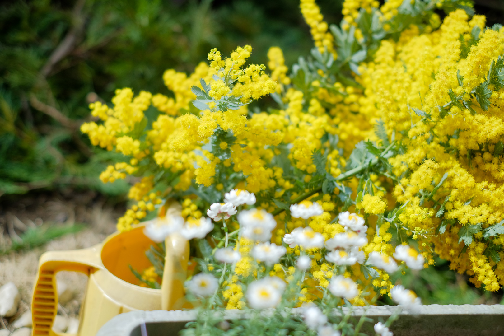 f:id:kota2009:20220320095330j:plain