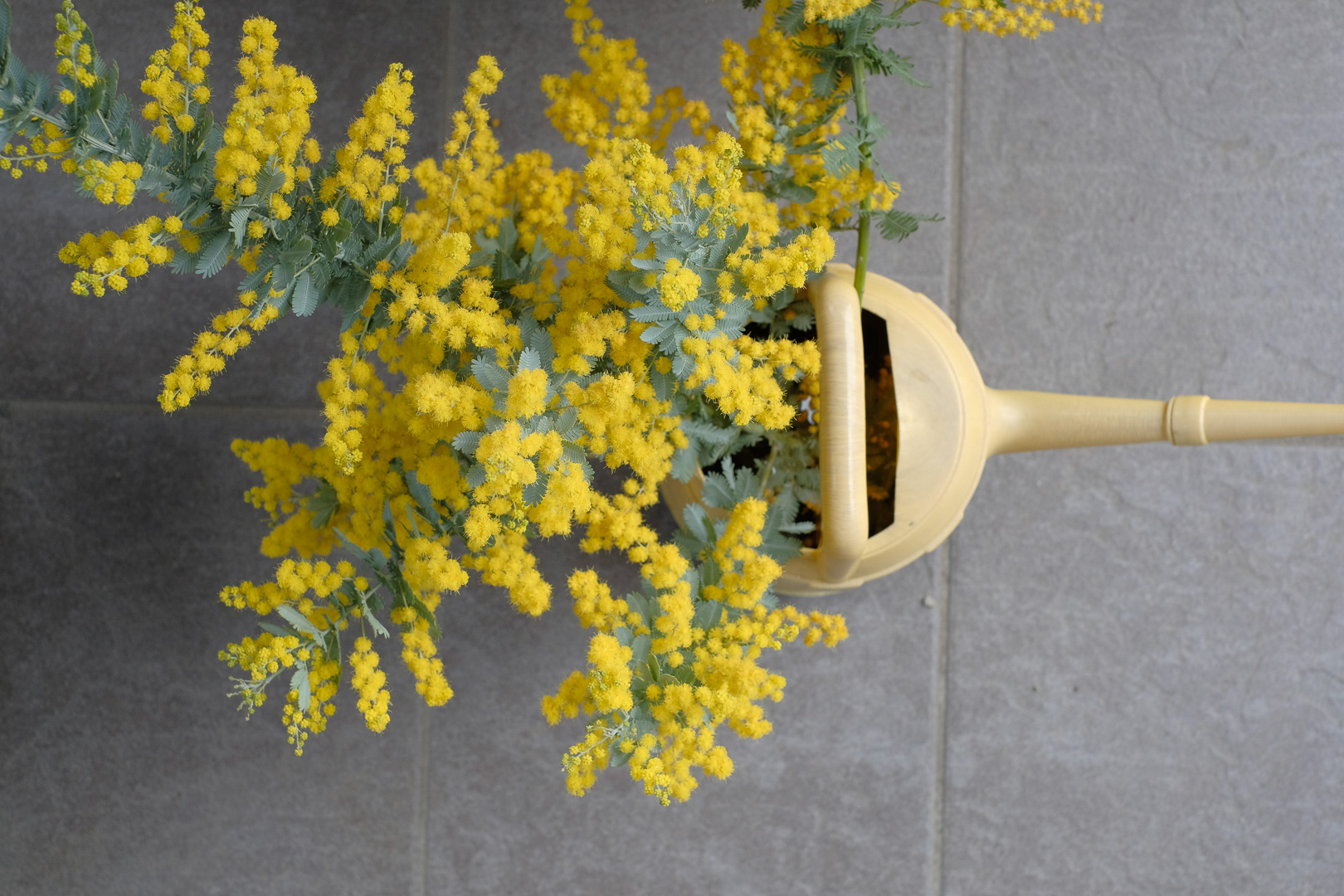 f:id:kota2009:20220320113803j:plain