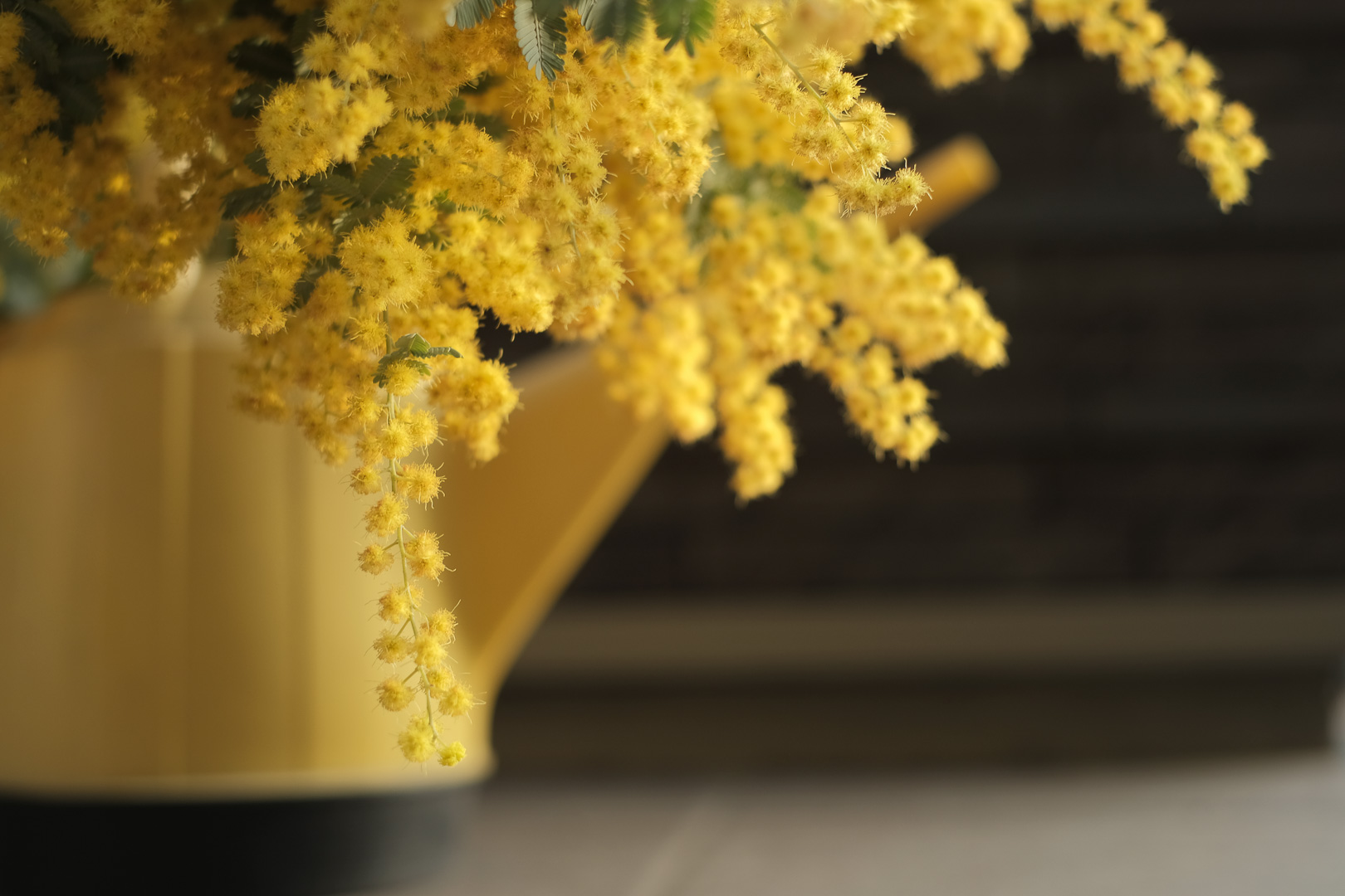 f:id:kota2009:20220325062751j:plain