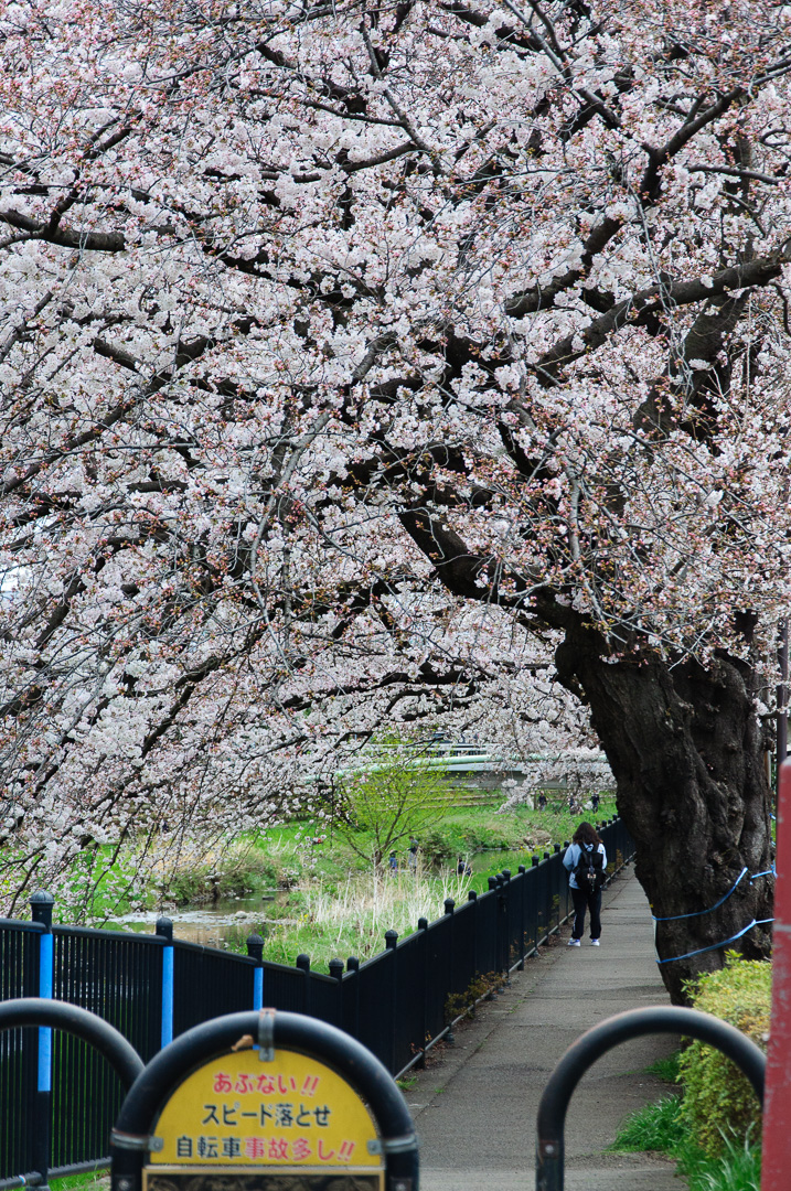 f:id:kota2009:20220327114623j:plain