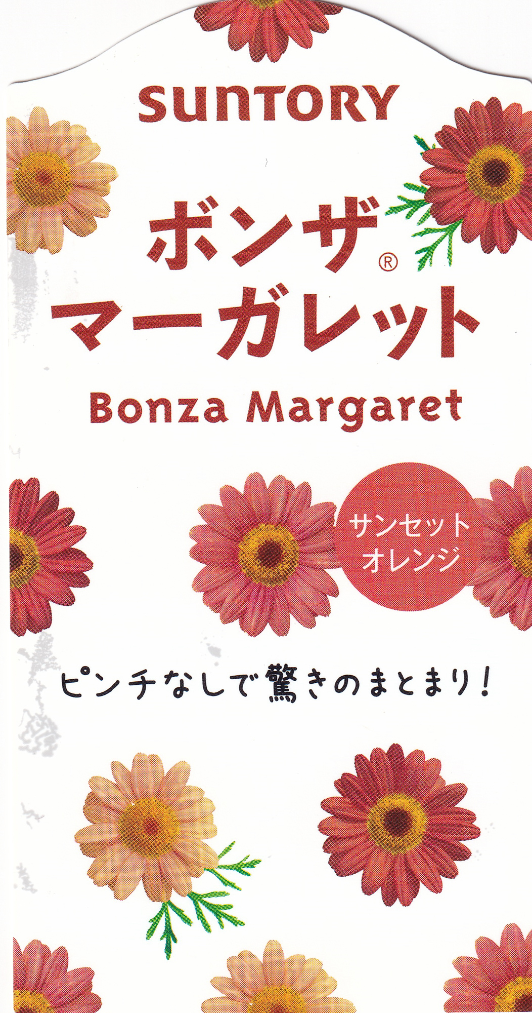 花春ページ Introduction of PW products from the 2025 farm by Gardening