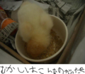 20100507165050