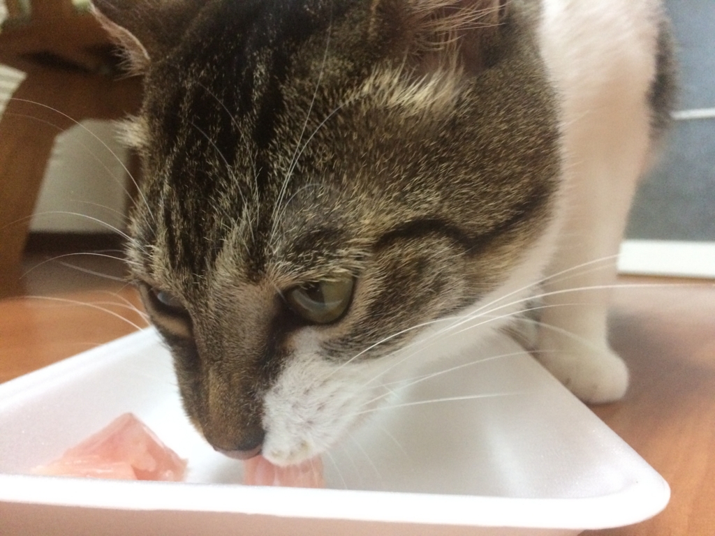 f:id:kota_uni:20170705194940j:plain