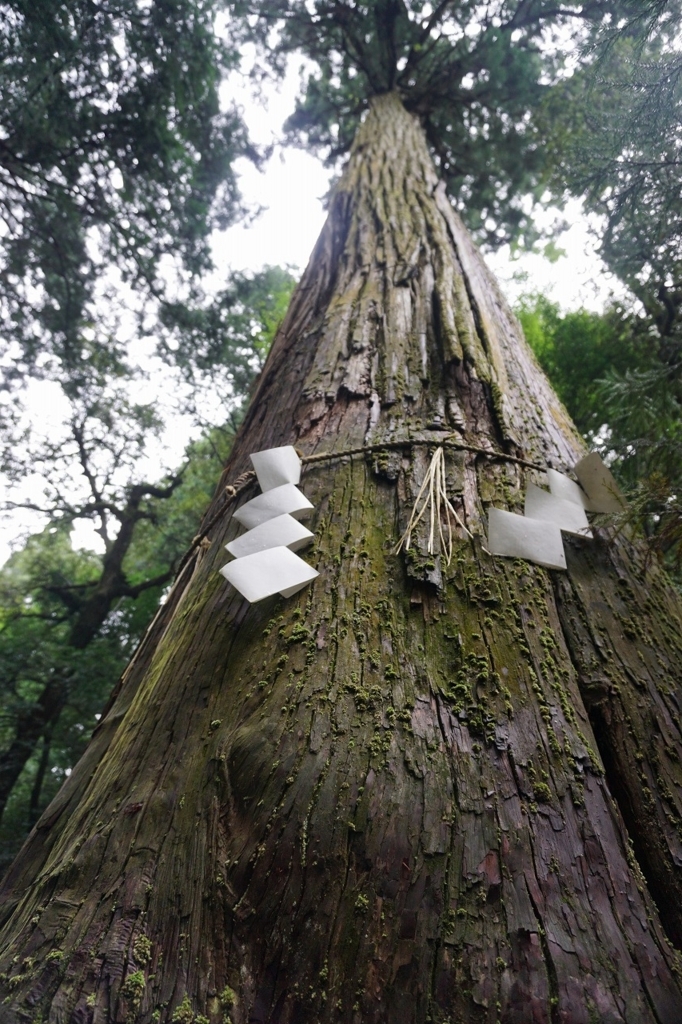 f:id:kota_uni:20170927140811j:plain