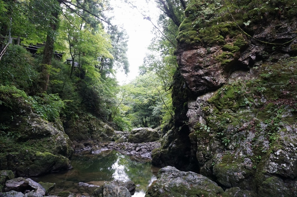 f:id:kota_uni:20170927141929j:plain