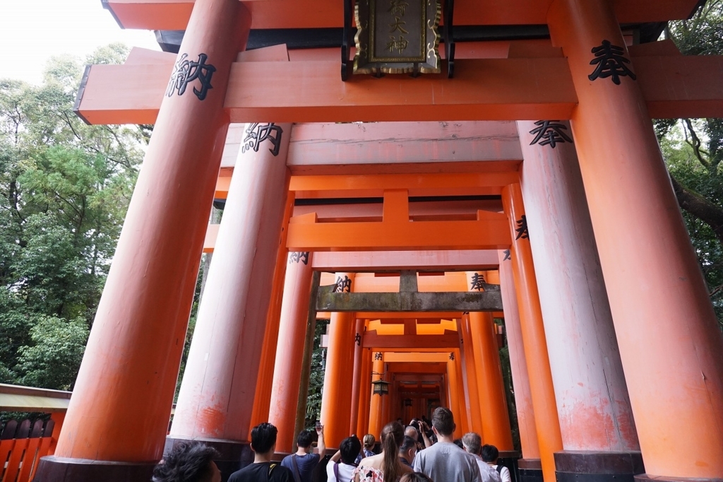 f:id:kota_uni:20170928200957j:plain