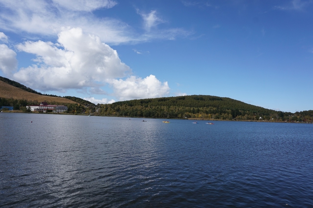 f:id:kota_uni:20171011221852j:plain