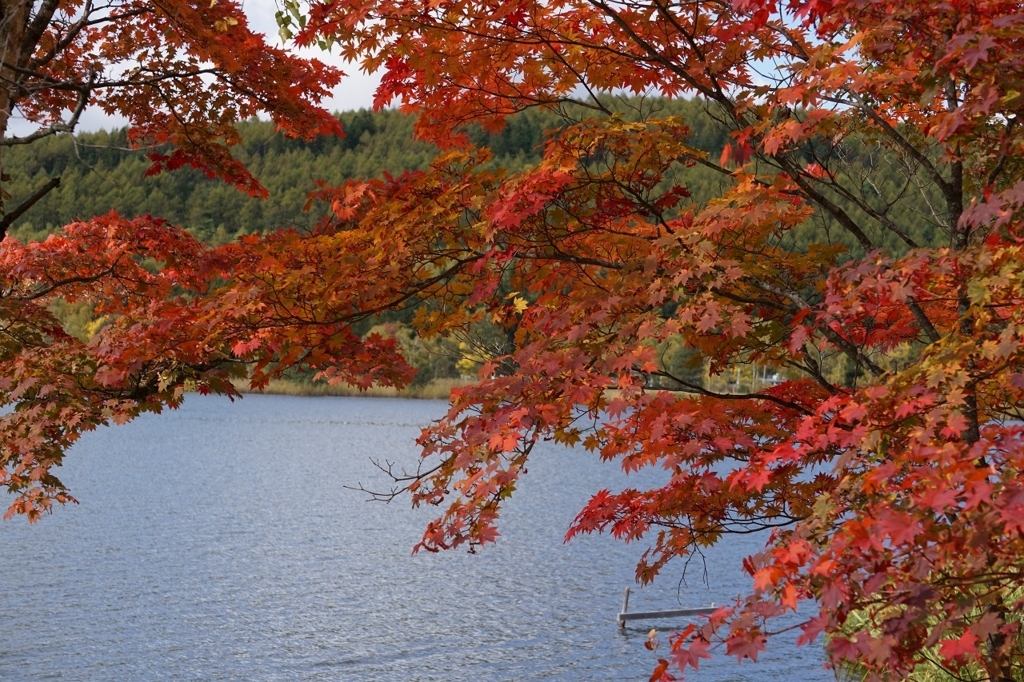 f:id:kota_uni:20171011222246j:plain