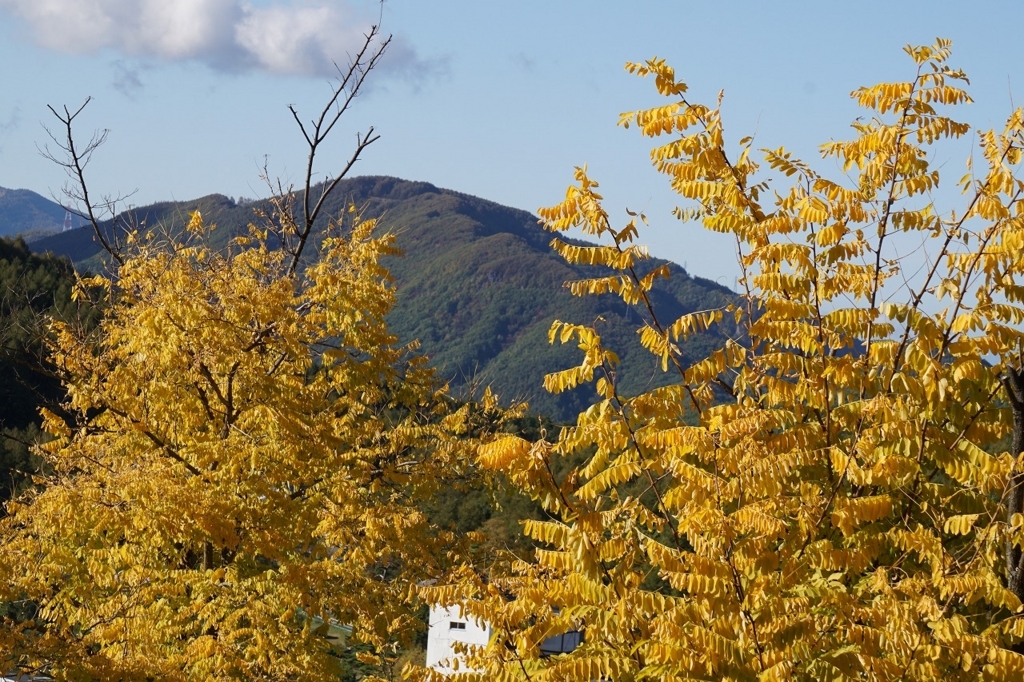 f:id:kota_uni:20171011223345j:plain