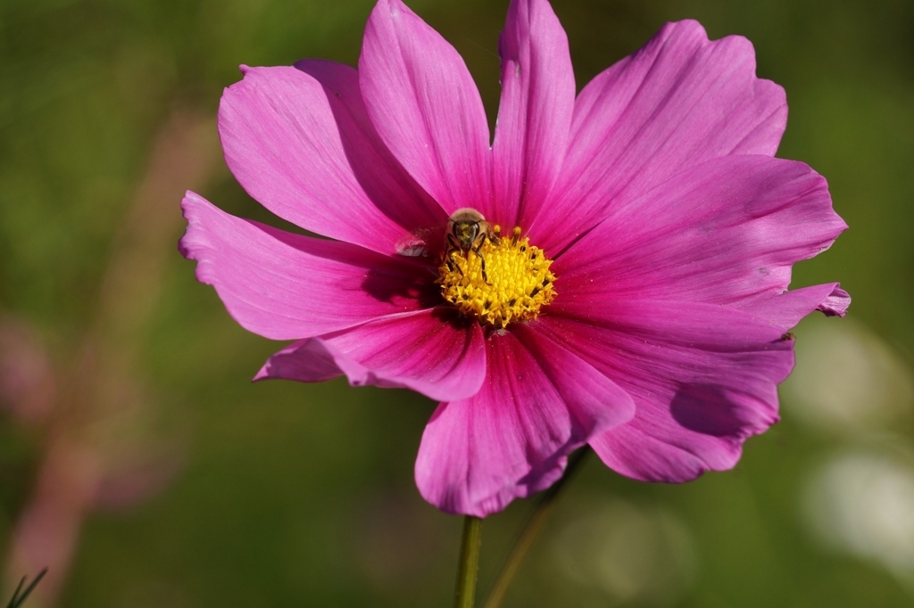 f:id:kota_uni:20171011224649j:plain