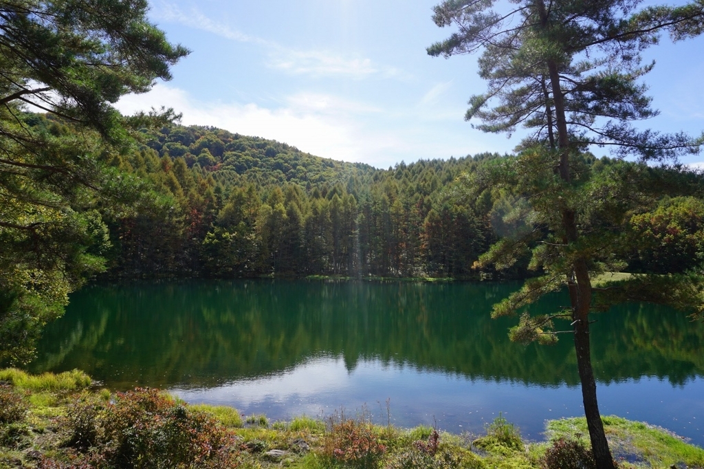 f:id:kota_uni:20171011232301j:plain