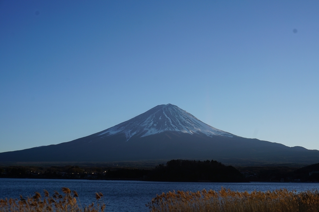 f:id:kota_uni:20181003132809j:plain