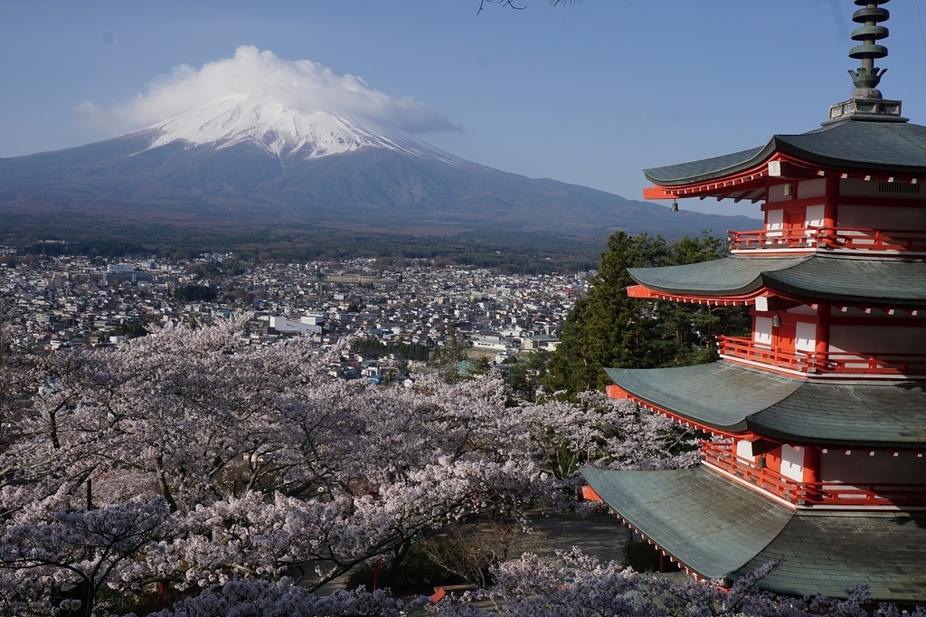 f:id:kota_uni:20181003135947j:plain