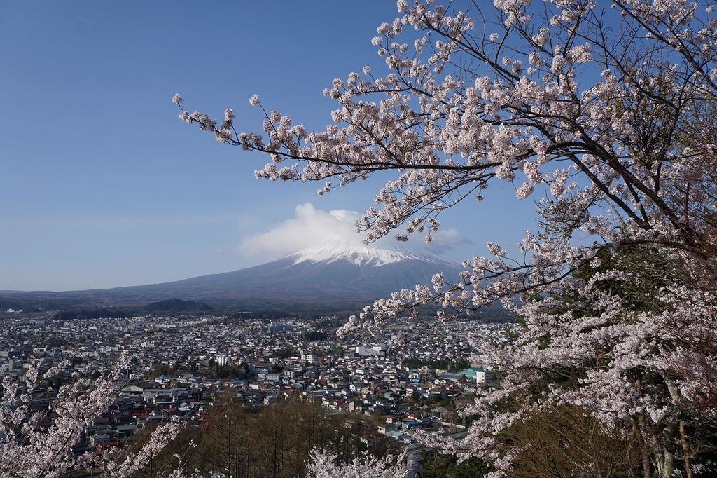 f:id:kota_uni:20181003140552j:plain