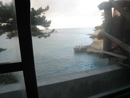 view from the window