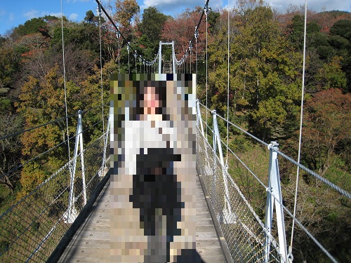 suspension bridge 2