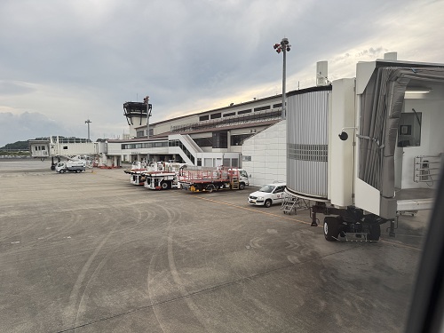 view from the airplane  No-39