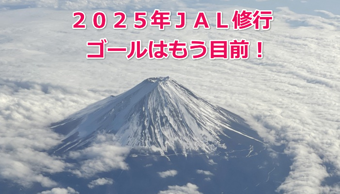 2025August-JAL-FOP