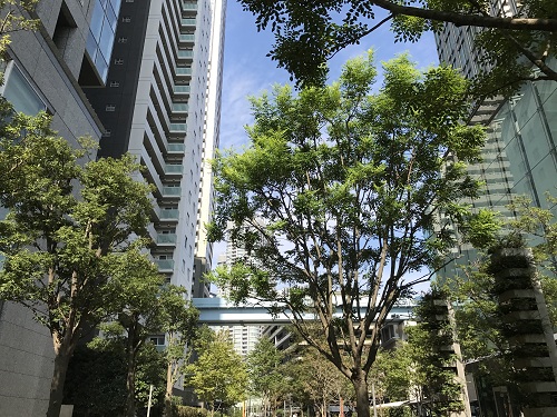 Shinbashi No-1