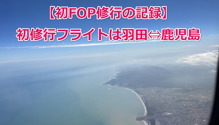 JAL mileage run 2022