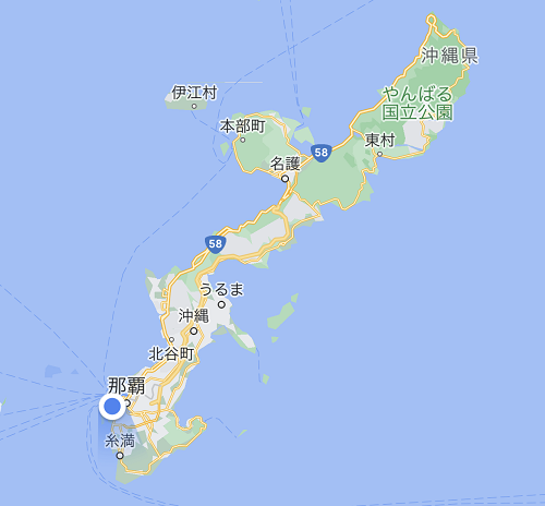 google map