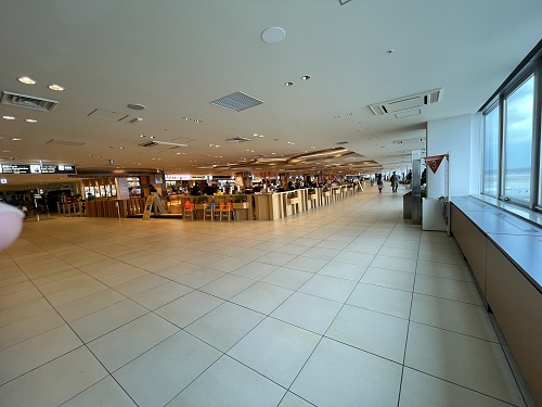 New Chitose Airport  No-9