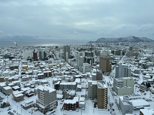 Goryokaku Tower No-7
