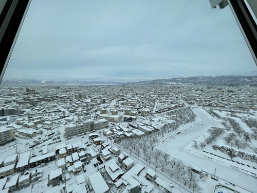 Goryokaku Tower No-8