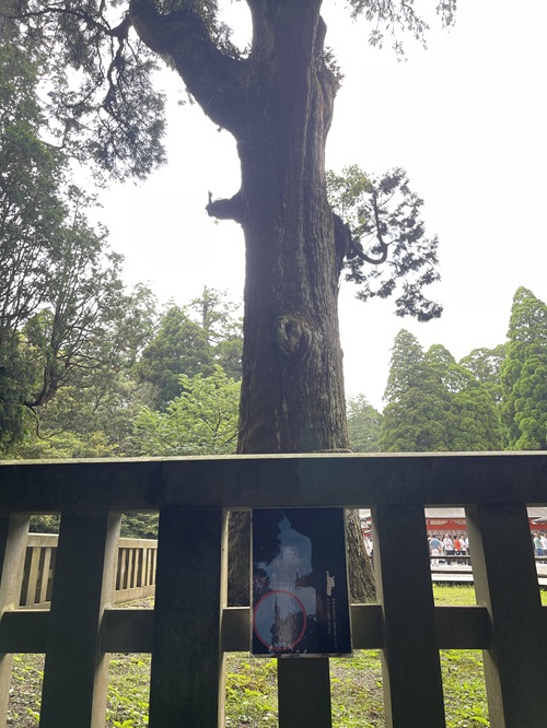 Kirishima Shrine No-14