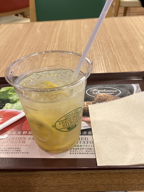 New Chitose Airport  No-4