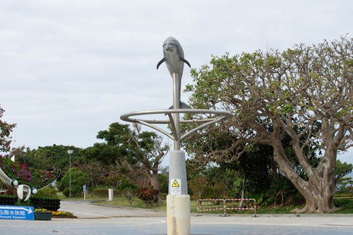 Churaumi Aquarium  No-1