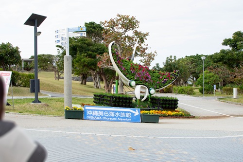 Churaumi Aquarium  No-2