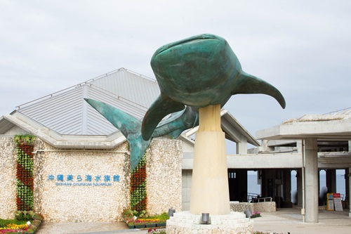 Churaumi Aquarium  No-6