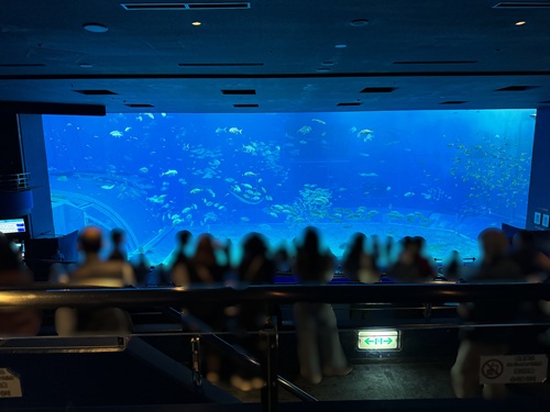 Churaumi Aquarium  No-12